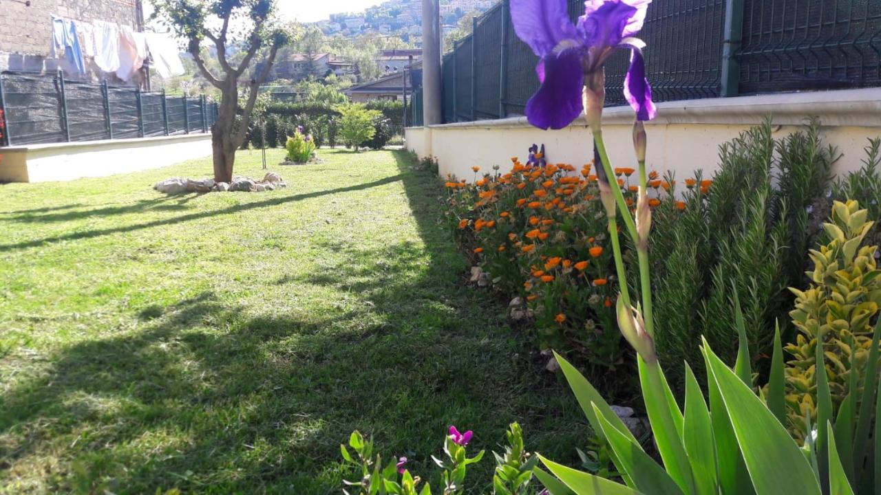 Villa La Casina Gialla à Veroli Extérieur photo